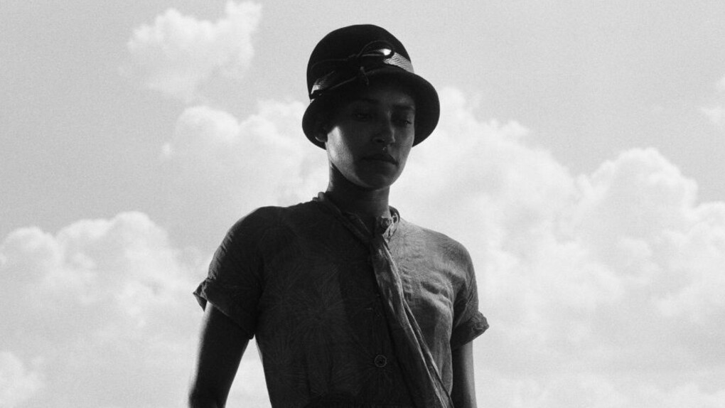 Bodies of Knowledge. Courtesy of NOMA