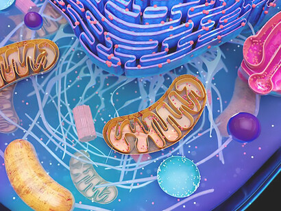 Discover a captivating 3D illustration showcasing the intricacies of biological cells and mitochondria