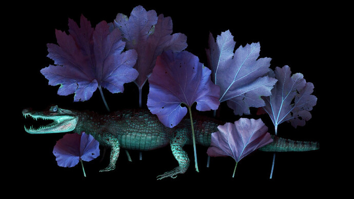 East Of The Garden. Courtesy of StolenSpace Gallery