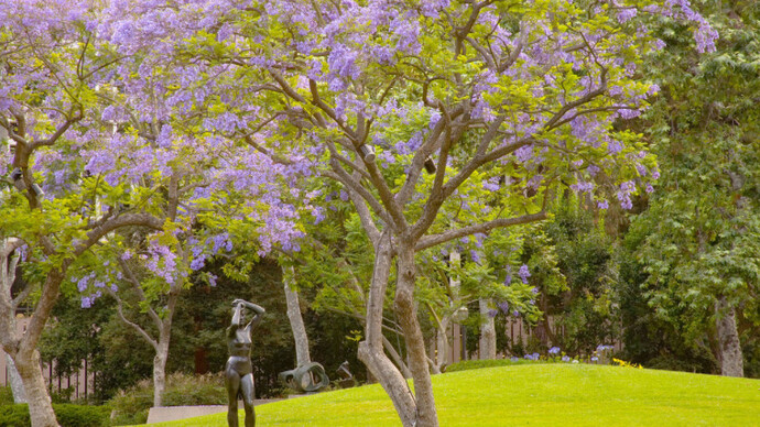 Franklin D. Murphy Sculpture Garden. Courtesy of Hammer Museum 