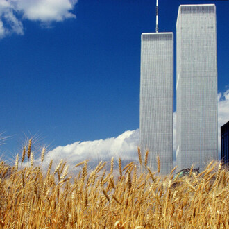Agnes Denes, Wheatfield – A confrontation: battery park Landfill, Downtown Manhattan, 1982/2024. Courtesy of the Museum of Fine Arts