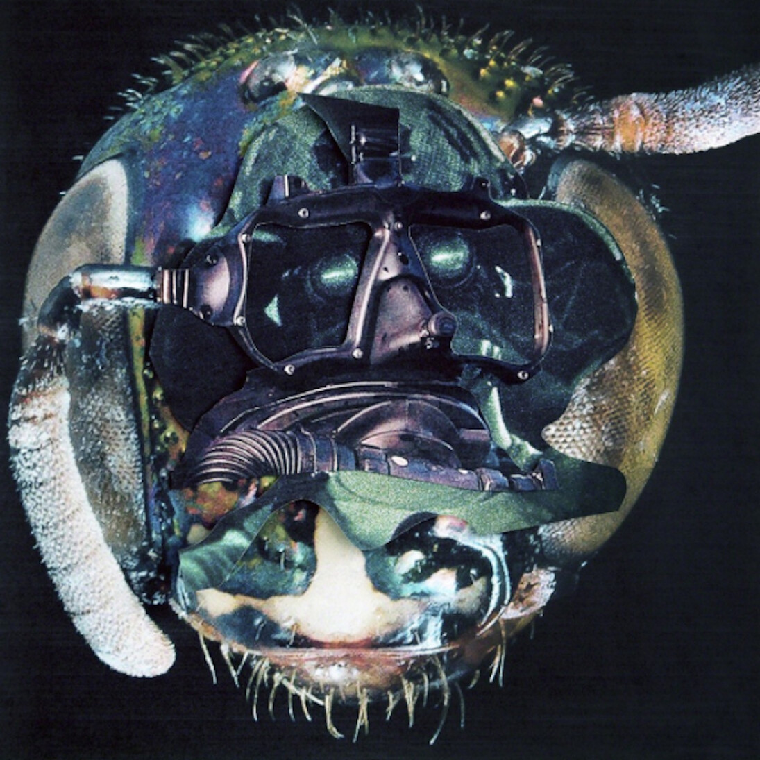 Anouk Kruithof, Screenshot Montage, 2015. Courtesy of Casemore Kirkeby