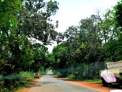 The road to Basadi