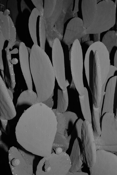 Anush Hamzehian & Vittorio Mortarotti. Courtesy of Galleria Peola Arte Contemporanea