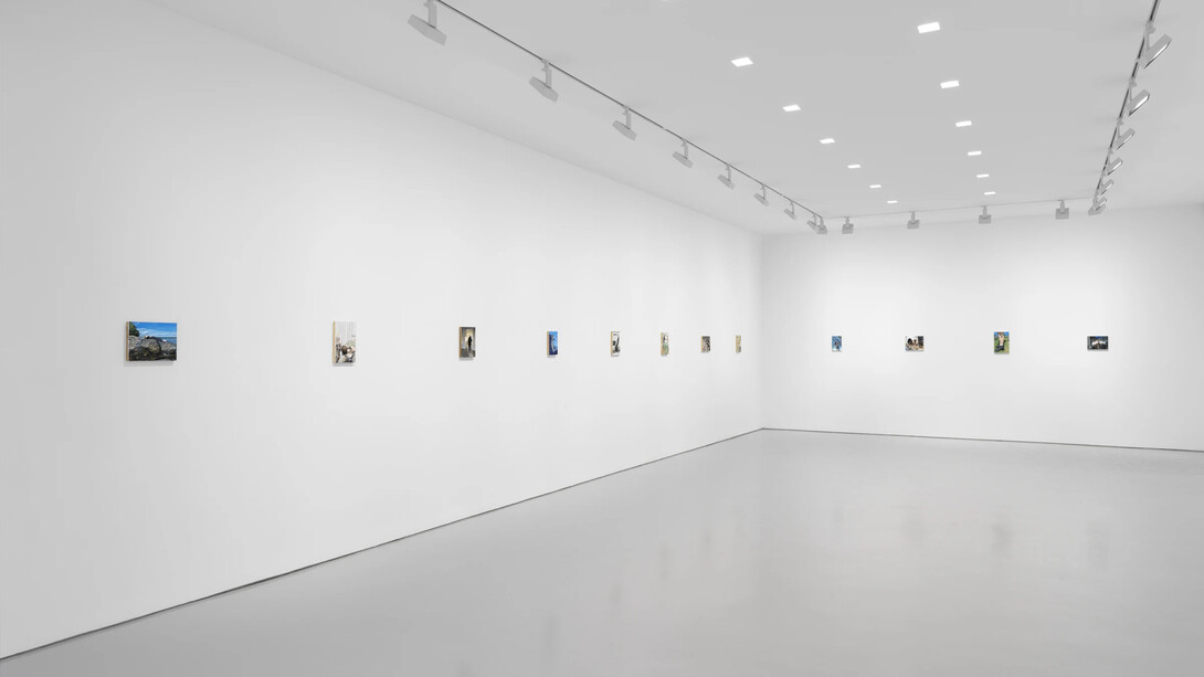 Tim Hawkinson, Cabinet pictures, exhibition view. Courtesy of Miles McEnery Gallery
