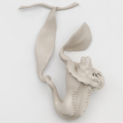 Lorena Guzmán, La vida en una Nephentes Alada, 2020. Courtesy of Vasari Gallery