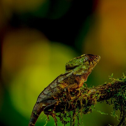 Un paraíso a proteger