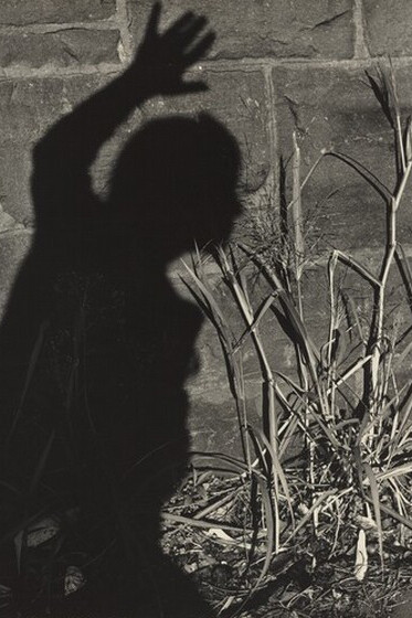 American Art, 1900–1950: Prints, Drawings, and Photographs. Courtesy of The National Gallery of Art