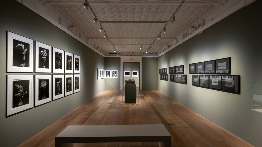 Varios artistas, Espectros. Enigmas de la mirada, vista de exhibición. Cortesía de la Fundación Casa de México en España