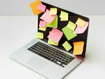 Observou-se um atraso de aproximadamente 2 anos no desenvolvimento do córtex cerebral. Estruturas específicas como o córtex pré-frontal, núcleos da base, cerebelo e corpo caloso também apresentam volumes reduzidos em indivíduos com TDAH. Essas diferenças estruturais estão associadas a funções cognitivas como atenção, controle inibitório e memória de trabalho, que são frequentemente afetadas no TDAH