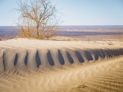 In the Moroccan desert where the Tbourida live