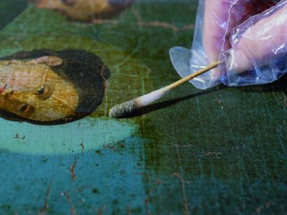 Pulitura con tamponcino di cotone imbevuto di solvente per rimozioni della vecchia vernice ossidata in una tela del XVIII sec.  
 