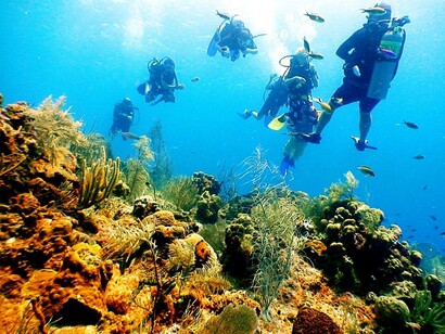Islas Caimán. Fondo marino