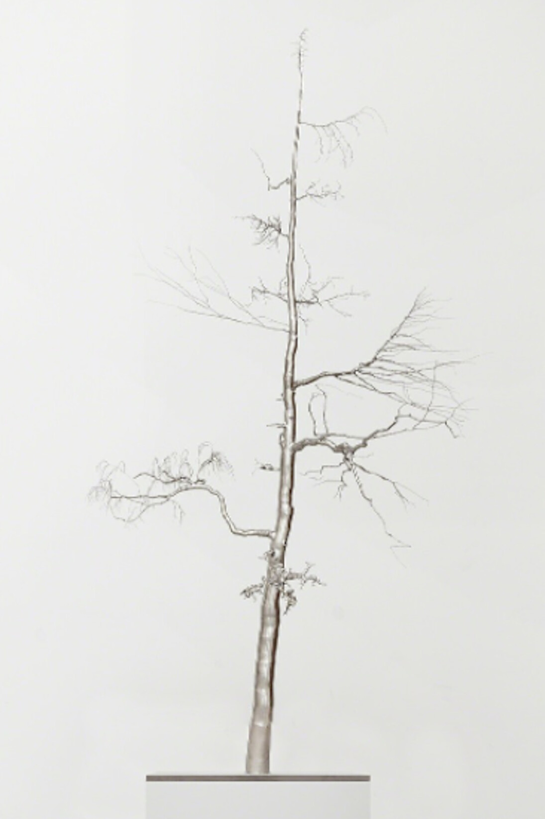 Roxy Paine. Courtesy of Paul Kasmin Gallery