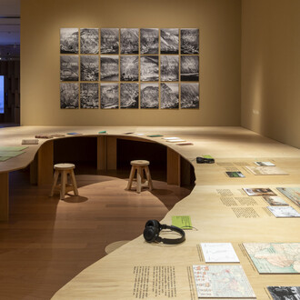 Nature, the architect, exhibition view. Courtesy of Museo de Arte Moderno de Buenos Aires