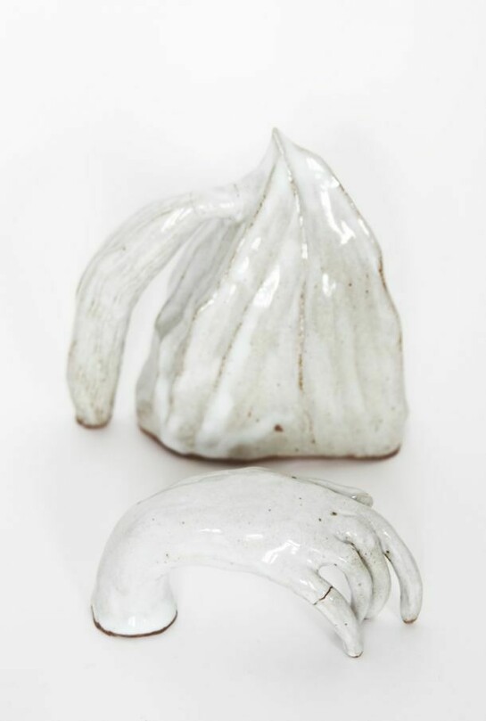 Lilli Carré, Conversations in Held Poses, 2013. Courtesy of the artist and Western Exhibitions, Chicago.