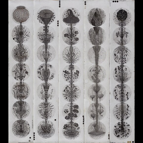 Hipkiss. Courtesy of The Drawing Center