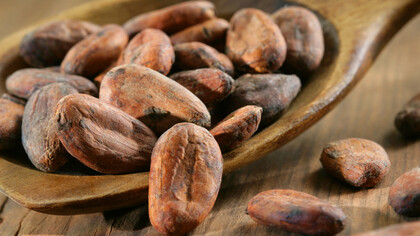Fave di cacao
