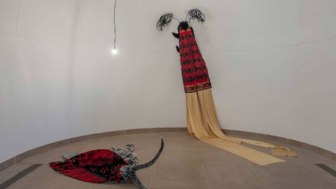 Petrit Halilaj. Courtesy of Hammer Museum