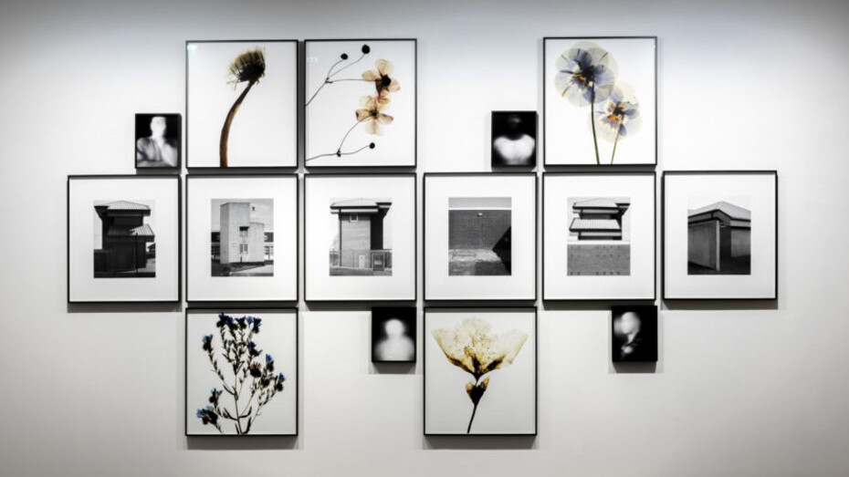 Flowers Contemporary II. Courtesy of Flowers Gallery