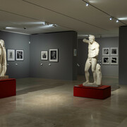 Robert Mapplethorpe, Le forme della bellezza, veduta della mostra. Cortesia del Museo dell’Ara Pacis