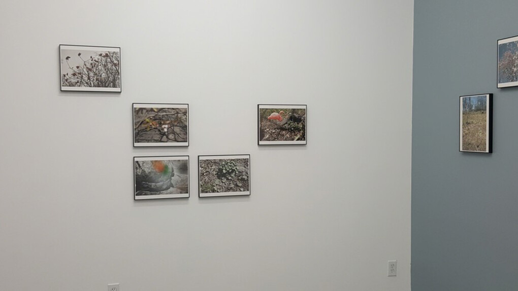 Adler Guerrier. Courtesy of Marisa Newman Projects