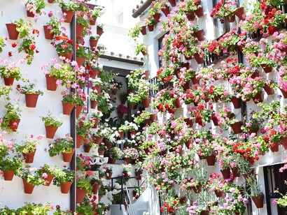 La Fiesta de los Patios es desde hace años Patrimonio Inmaterial de la Humanidad