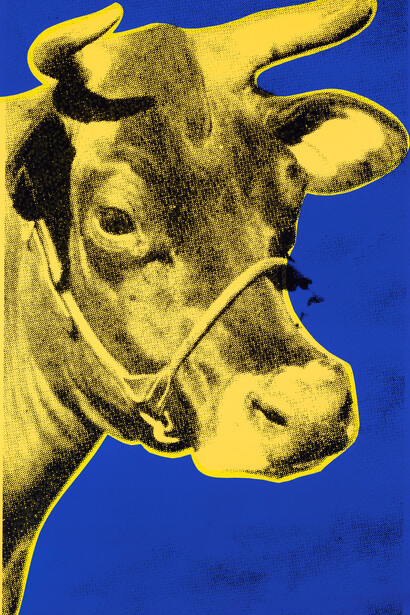 Andy Warhol (1928-1987), Yellow Cow, 1966. Color silkscreen on paper, 44 5/8” x 28 1/8”. Williams College Musuem of Art; Gift of Terryl and Louis Lawrence in honor of Michael Bes, Class of 1987. ©The Andy Warhol Foundation for the Visual Arts, Inc. / Artists Rights Society (ARS), New York.