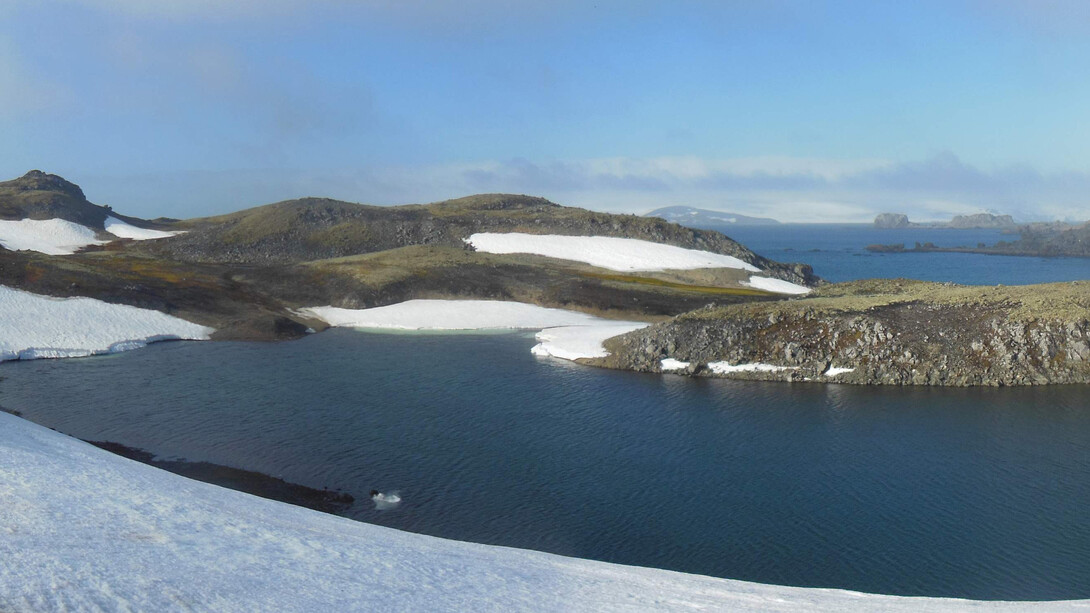 Ardley Island