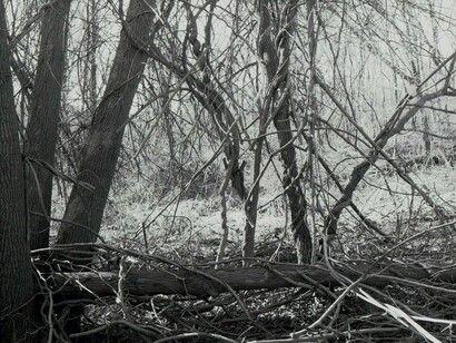 Lawrence Beck, exhibition view. Courtesy of ART 3 gallery