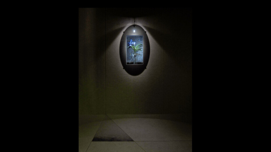 Richard Venlet. Courtesy of Bozar