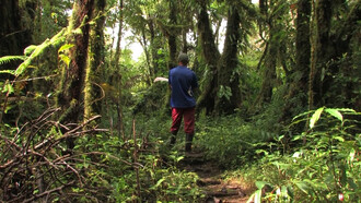 La película “Árboles”, perteneciente a “Aquí hay dragones”
