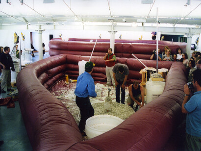 Installation view of PeaRoeFoam, The Liver Pool (2002) at the 2002 Liverpool Biennial, Liverpool, United