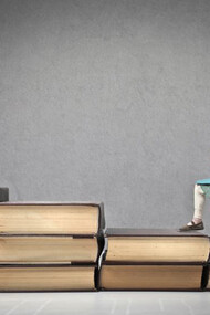 The learning styles