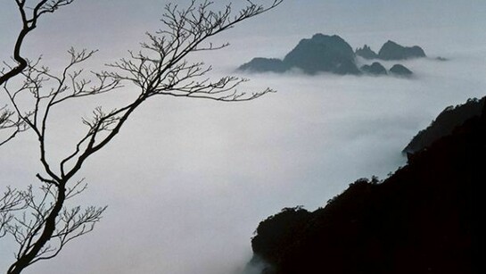 Marc Riboud, Huang Shan, 1983-1989, Dye transfer print, 20 x 24 inches. Courtesy L. Parker Stephenson Photographs, New York