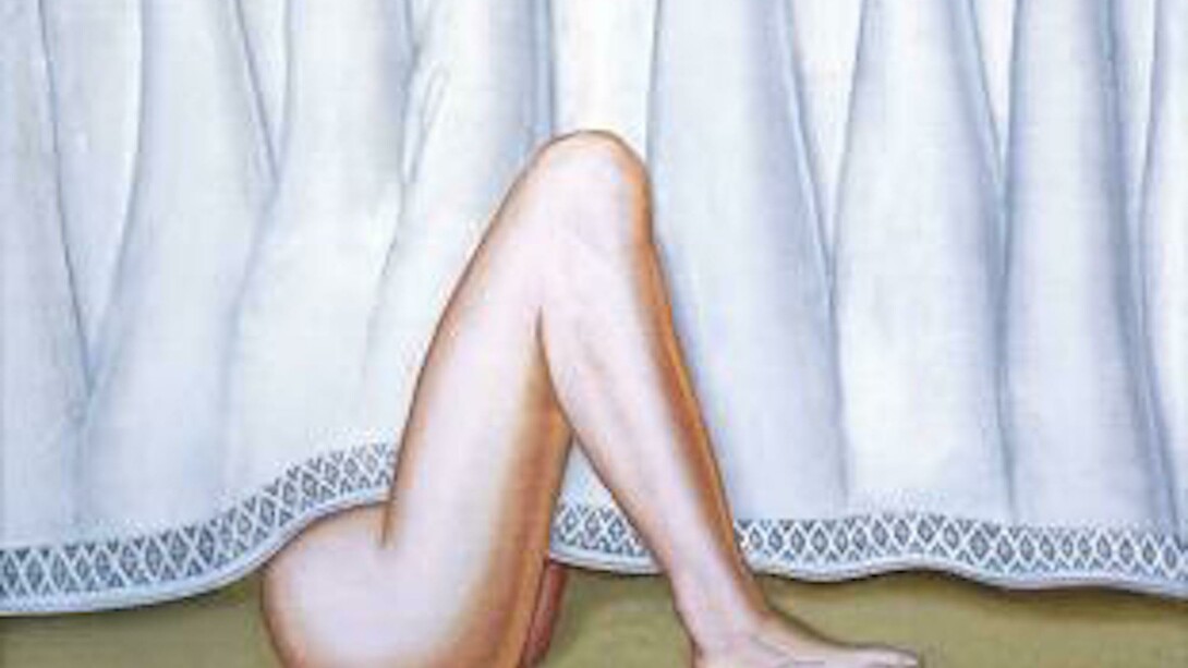 Derrière le rideau. Courtesy of Galerie Lelong