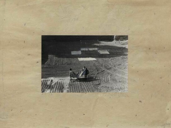 Heidi Bucher (1926-1993), Untitled, undated, Photo-print with mother-of-pearl, 54 x 39 cm