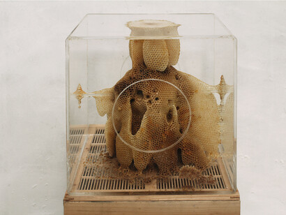 Ren Ri, Yuansu Series II＃6-46, 2013-14，Acrylic box, natural beeswax, 40 x 40 x 40 cm