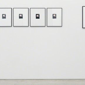 Arcadias. Courtesy of Magenta Plains
