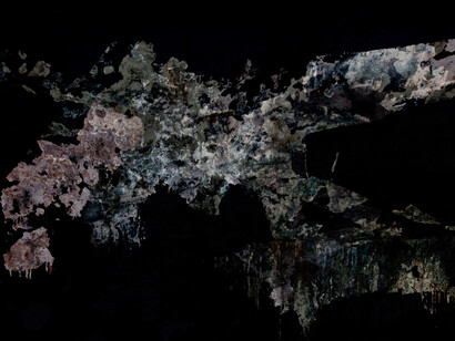 EliasWessel, Feral 4