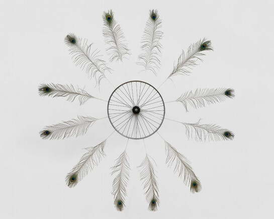 Paola Pivi. Courtesy of Perrotin Tokyo