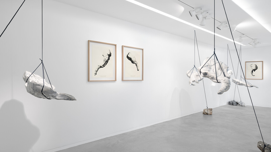 Capucine Vever, Là où s'effondrent les dragons, vue d'exposition. Avec l'aimable autorisation de la Galerie Eric Mouchet