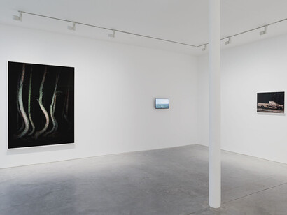 Plot Twist, Exhibition view. Courtesy of Art Concept