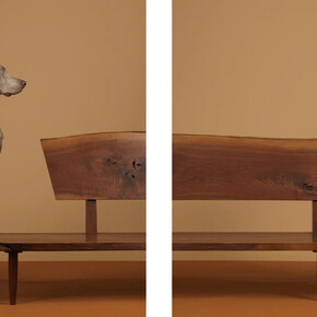 William Wegman, Looking over, 2015. Courtesy of Lisa Sette Gallery