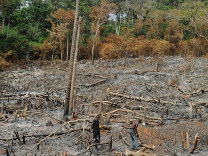 La deforestación es un proceso provocado por la acción de los humanos, en el que se destruye o agota la superficie forestal