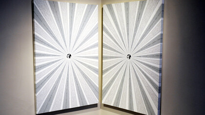'Unsustainable growth and development', acrylic tempera on canvas and wood, no. 2 canvas 100 x 150 x 4,5 cm (39 x 59 x 1,7 in) + no. 12 spheres Ø 9,2/7,2/5,2/4,2 cm (3,6/2,8/2/1,6 in), 2013 / computer PC