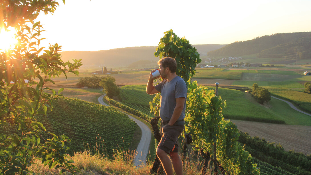 Discover the visionary winemaking journey of Hoss Hauksson, the pioneering Icelandic vintner behind Switzerland's thriving vineyards