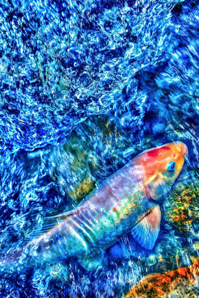 Experiments, Excavations & Explorations. Courtesy of Kate Oh Gallery