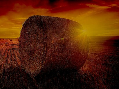 Calendario agrícola