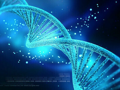 DNA
